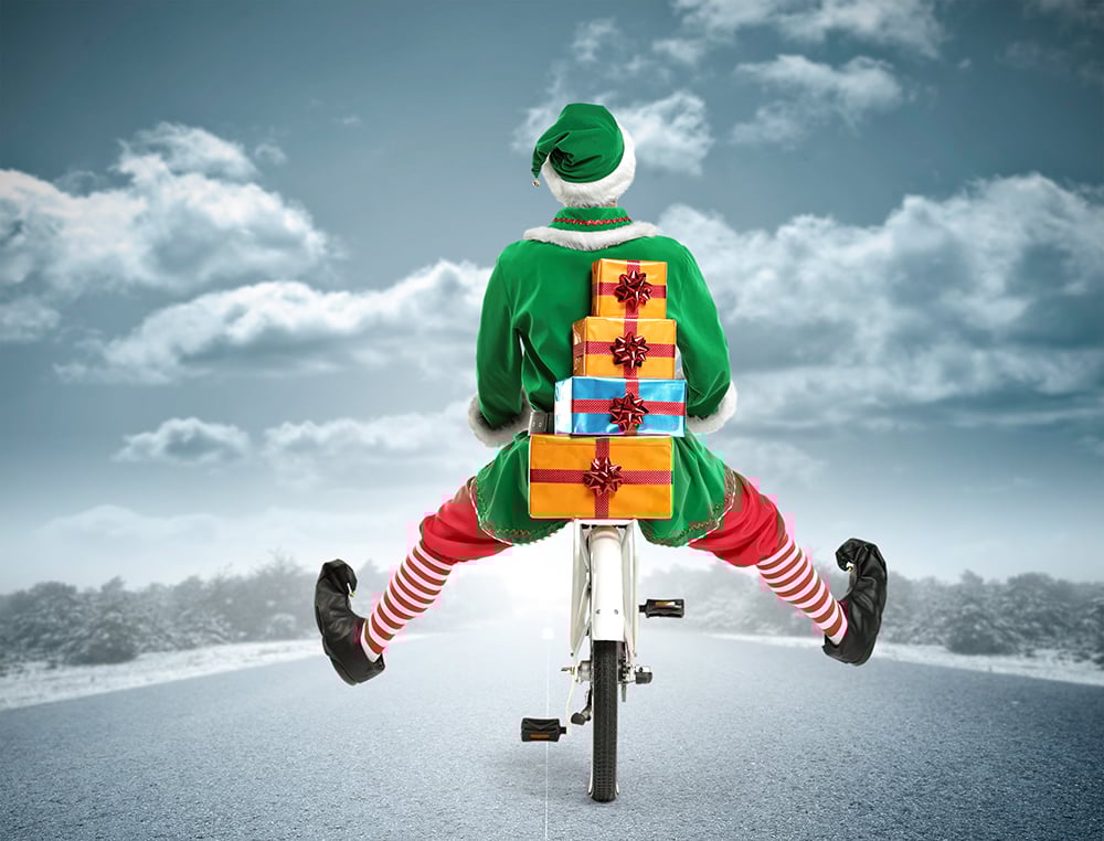 Elf on bike LR
